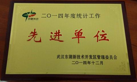 我院获评东湖高新区2014年度统计工作先进单位